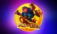 Pig Of Luck