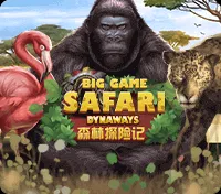 Big Game Safari