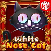 White Nose Cat