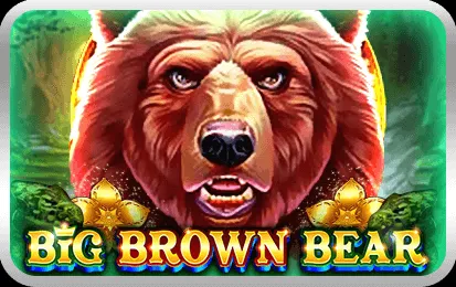 Big Brown Bear