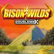 Bison Wilds