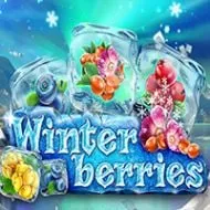 Winterberries